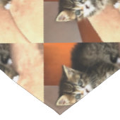 Nappe Tabby Cat Kitten Portrait pour animaux (Angle)