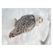 Nappe Toile de table Snowy Owl (Devant (Horizontal))