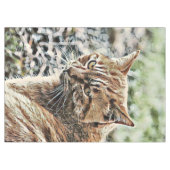Nappe toison (Devant (Horizontal))