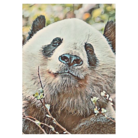 Nappe toony panda (Devant)