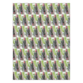 Nappe Train à vapeur antique (Devant)