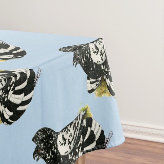 Nappe Trumpeter Pigeon Dark Splash (In Situ)