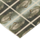 Nappe Trumpeter Swan (Angle)
