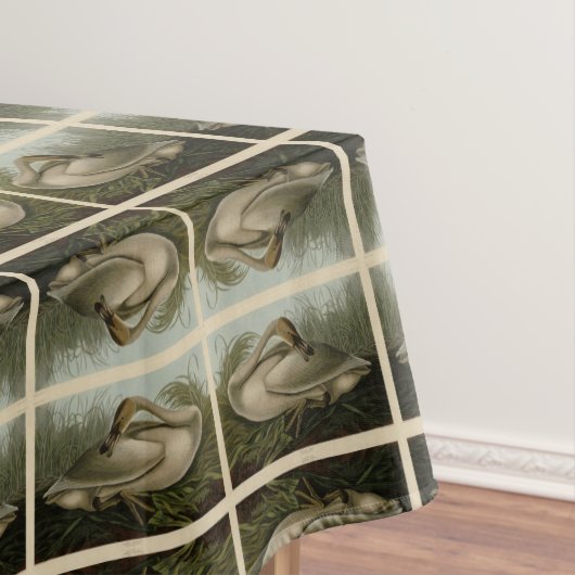 Nappe Trumpeter Swan (In Situ)