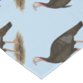 Nappe Turquie : Tom sauvage de l'Est (Angle)