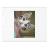 Nappe Un chaton mignon aux yeux verts (Devant (Horizontal))