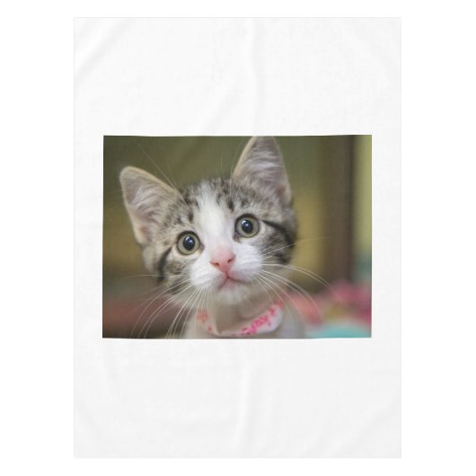 Nappe Un chaton mignon aux yeux verts (Devant)