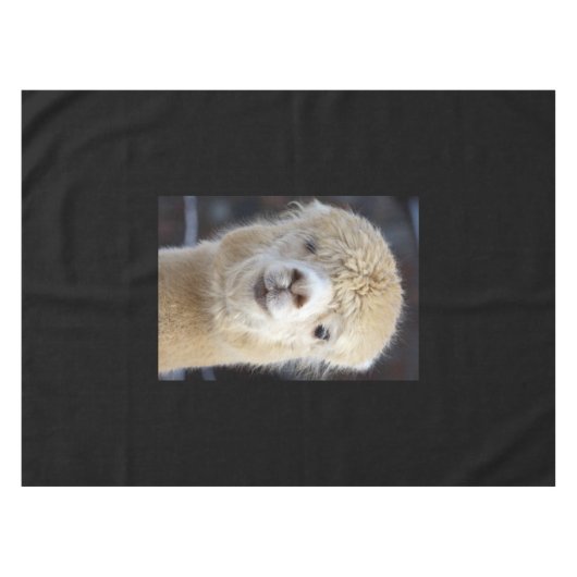 Nappe Un joli visage moelleux d'un alpaga (Devant (Horizontal))