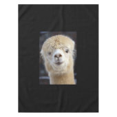 Nappe Un joli visage moelleux d'un alpaga (Devant)