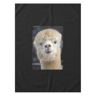 Nappe Un visage mignon et duveteux d'alpaca