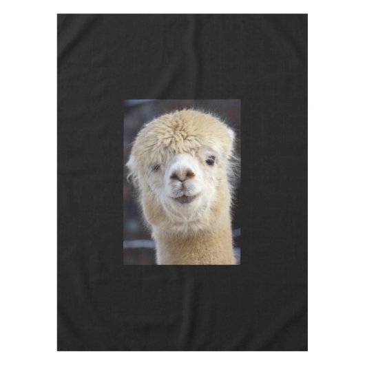 Nappe Un visage mignon et duveteux d'alpaca        (Devant)