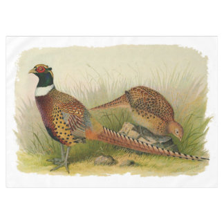 Nappe Une paire de faisans étranglés d'anneau dans un