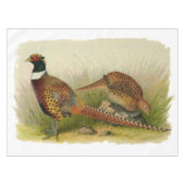 Nappe Une paire de faisans étranglés d'anneau dans un (Devant (Horizontal))