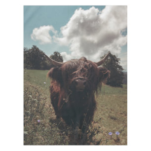 Nappe Vache écossaise de la région montagneuse noire pât