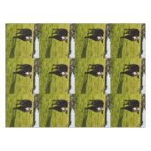 Nappe Vache Laine Noire À Visage Blanc, (Devant (Horizontal))