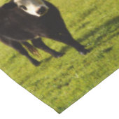 Nappe Vache Laine Noire À Visage Blanc, (Angle)