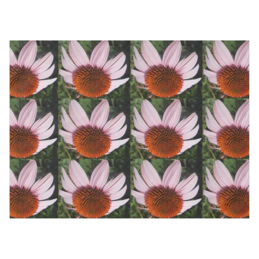 Nappe Varotari (Devant (Horizontal))