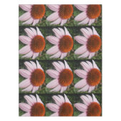 Nappe Varotari (Devant)