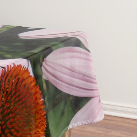 Nappe Varotari (In Situ)