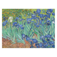 Vincent Van Gogh - Irises