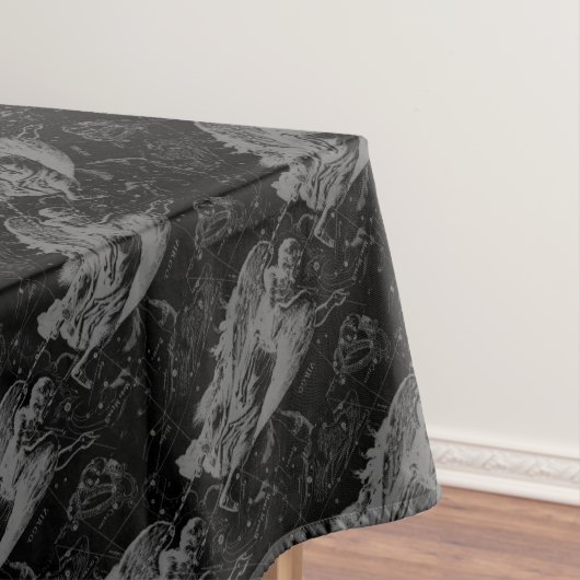 Nappe Virgo Constellation Hevelius 1690 (In Situ)