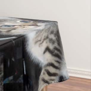 Nappe "Whiskers of Trouble : The Mischievous Tabby Kitte