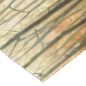 Nappe Whitetail Deer Doe dans la forêt d'automne (Angle)