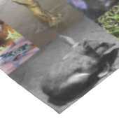 Nappe Wild Wonders : Captivant Australian Photo Collage (Angle)