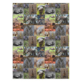 Nappe Wild Wonders : Captivant Australian Photo Collage (Devant)