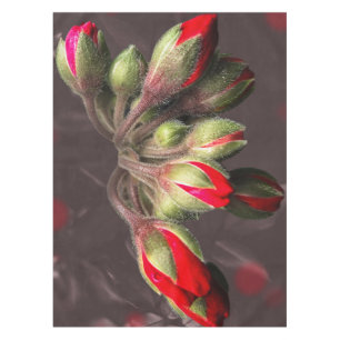 Nappes Fleur Rouge Et Foncé