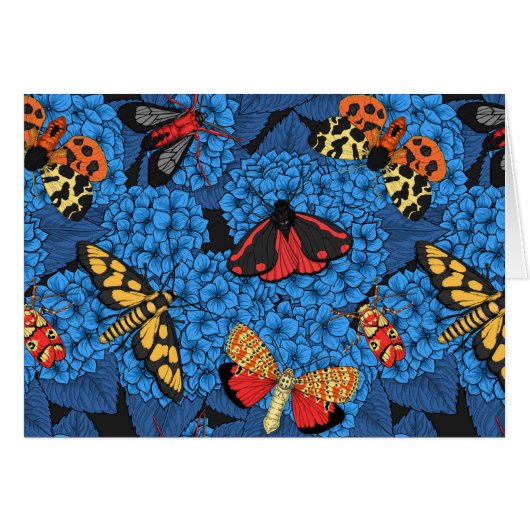 Nappes phréatiques bleu hydrangée (Devant horizontal)