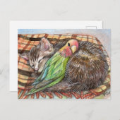 Napping Buddy Briefkaart (Voorkant / Achterkant)