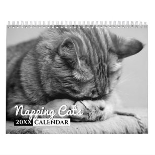 Napping Cats 2022 - Calendrier des murs photo