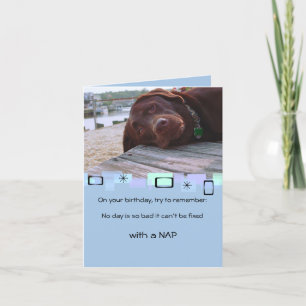 Napping Chocolate Lab Toutes les occasions Carte d
