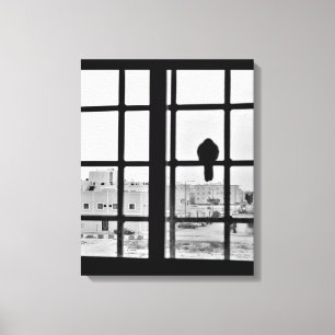 Napping Dove Canvas Afdruk