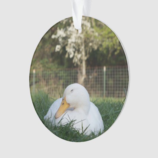 Napping Duck Ornament (voorkant)