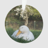 Napping Duck Ornament (voorkant)