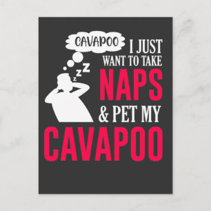 Napping en bevochtigen mijn Cavapoo Dog Nap Humor Briefkaart