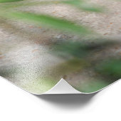 Napping Ocelot Foto Afdruk (Hoek)