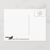 Napping van wilde pony's in het nationaal park Ass Briefkaart (Achterkant)