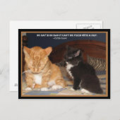 Naptime! Briefkaart (Voorkant / Achterkant)