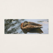 Naptime Mallard Duck Nature Mini Signet (Devant)