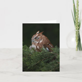 Naptime voor de notakaart van de Uil van de Kaart