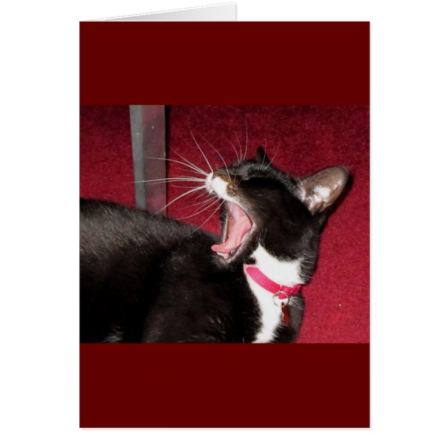 Naptime voor Lucy (Voorkant)