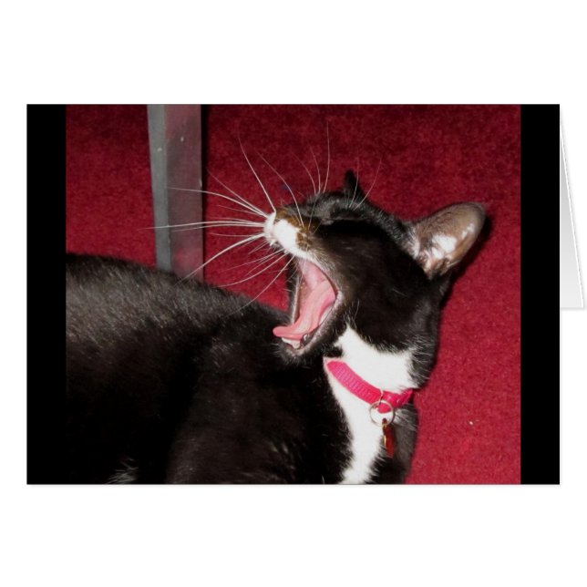 Naptime voor Lucy (Voorkant Horizontaal)