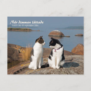 När dimman lättade CC0547 Sideby Briefkaart