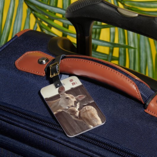 Nara, Japan - Sika Deer - Mother & Fawn Bagagelabel (Voorkant Insitu 1)