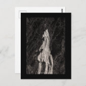 Narada Herfsten, WA Briefkaart (Voorkant / Achterkant)