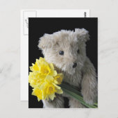 narcis beer briefkaart (Voorkant / Achterkant)