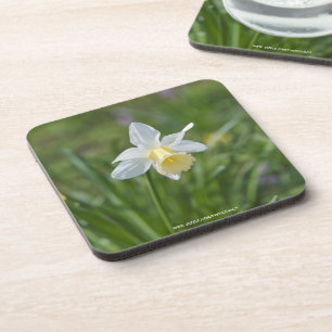 Narcis Bier Onderzetter